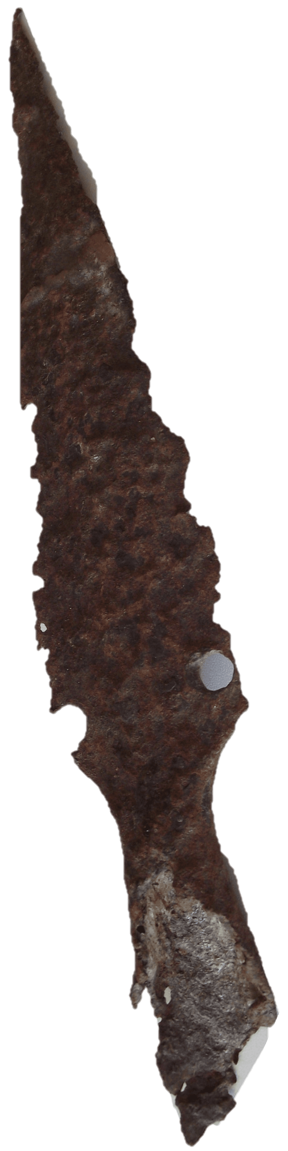 Moj zavičaj to sam ja - Dapci