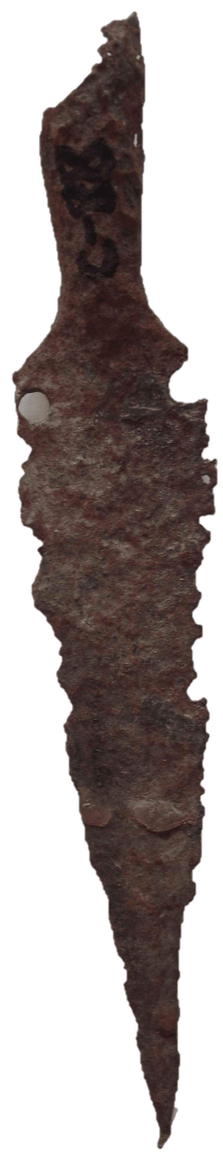 Moj zavičaj to sam ja - Dapci