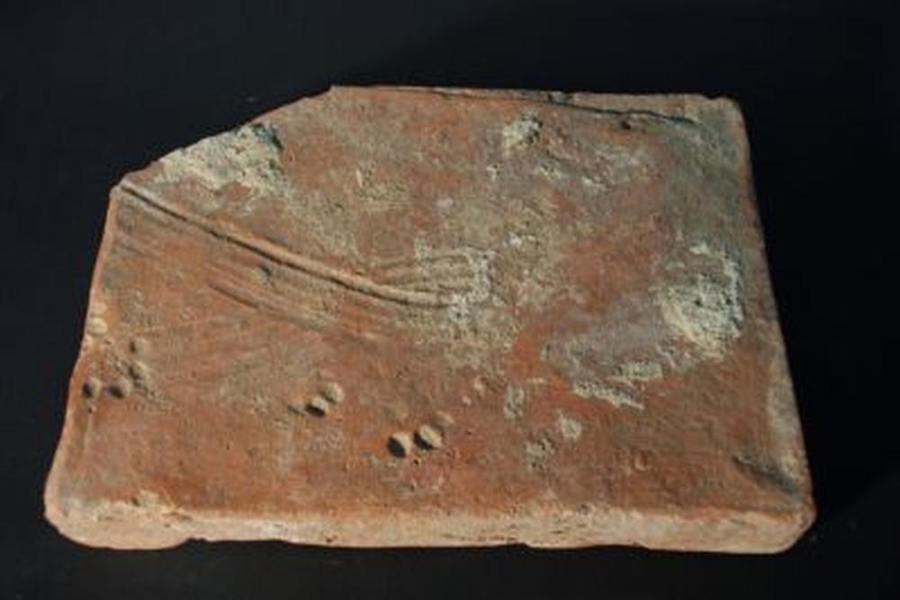 Moj zavičaj to sam ja - Draganci