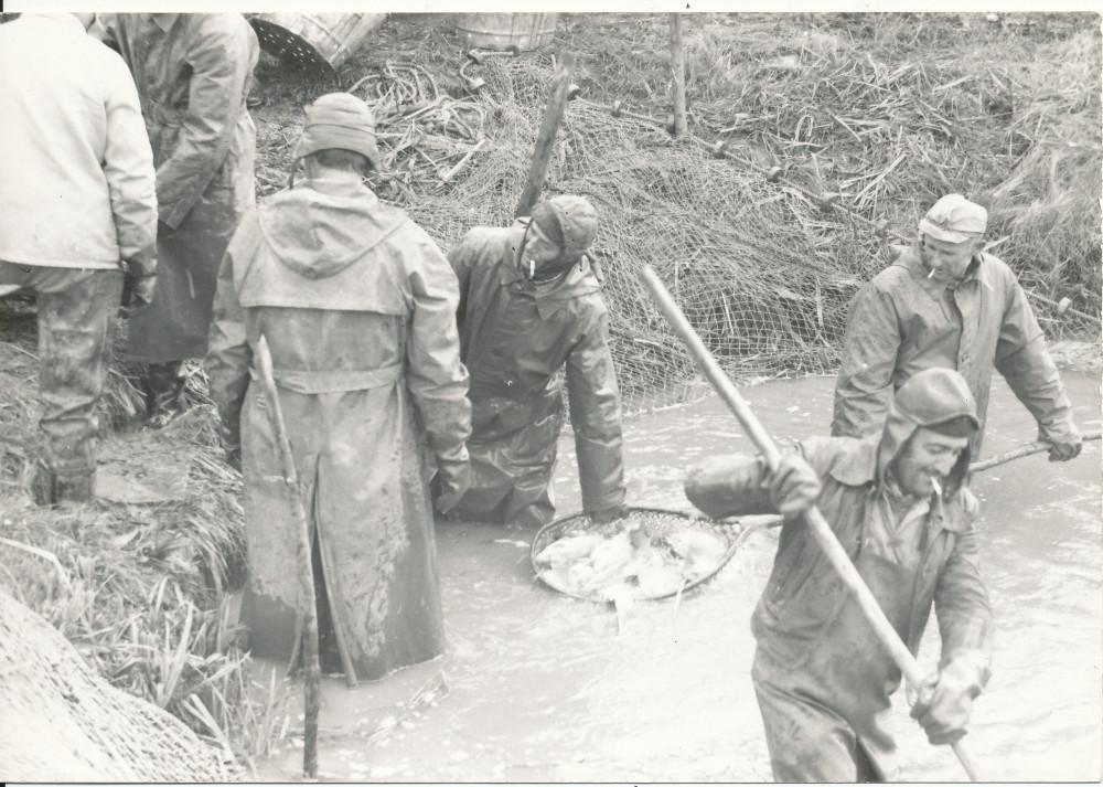 Moj zavičaj to sam ja - Draganci